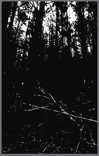 Ritval de Entidades Ocvltas